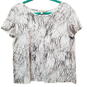 Philosophy Scoop Neck Basic T-shirt Women's Medium